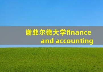 谢菲尔德大学finance and accounting